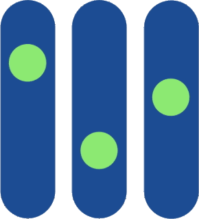 Gecko