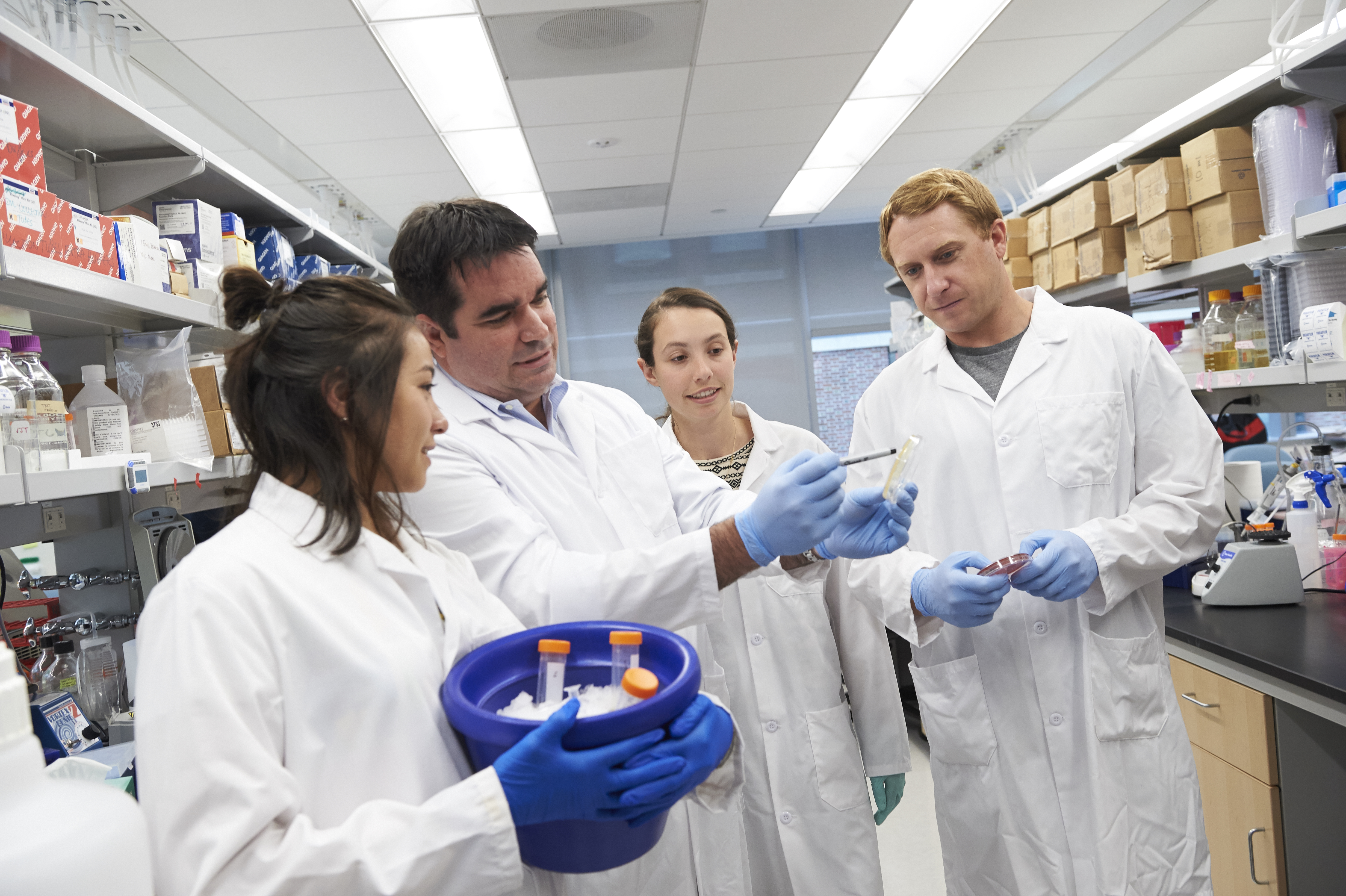 NYU Grossman School of Medicine